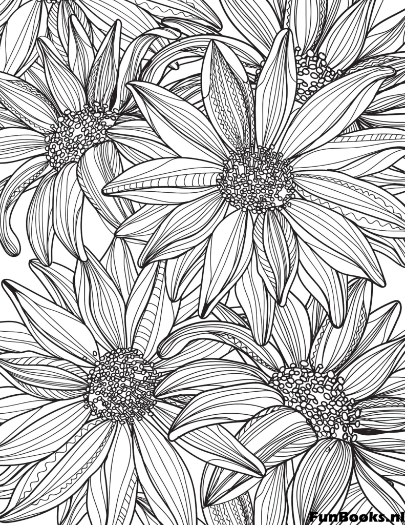 Close up of detailed daisies and sunflowers for adult coloring stress relief coloring page