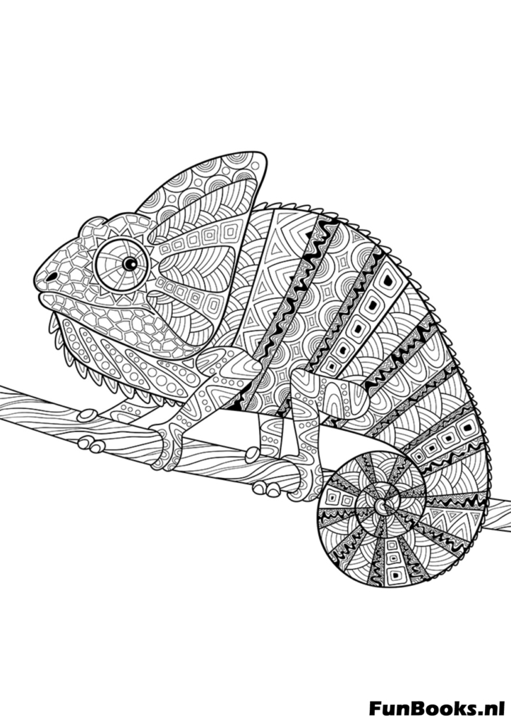 Gedetailleerd kameleon reptiel op een tak kleurplaat