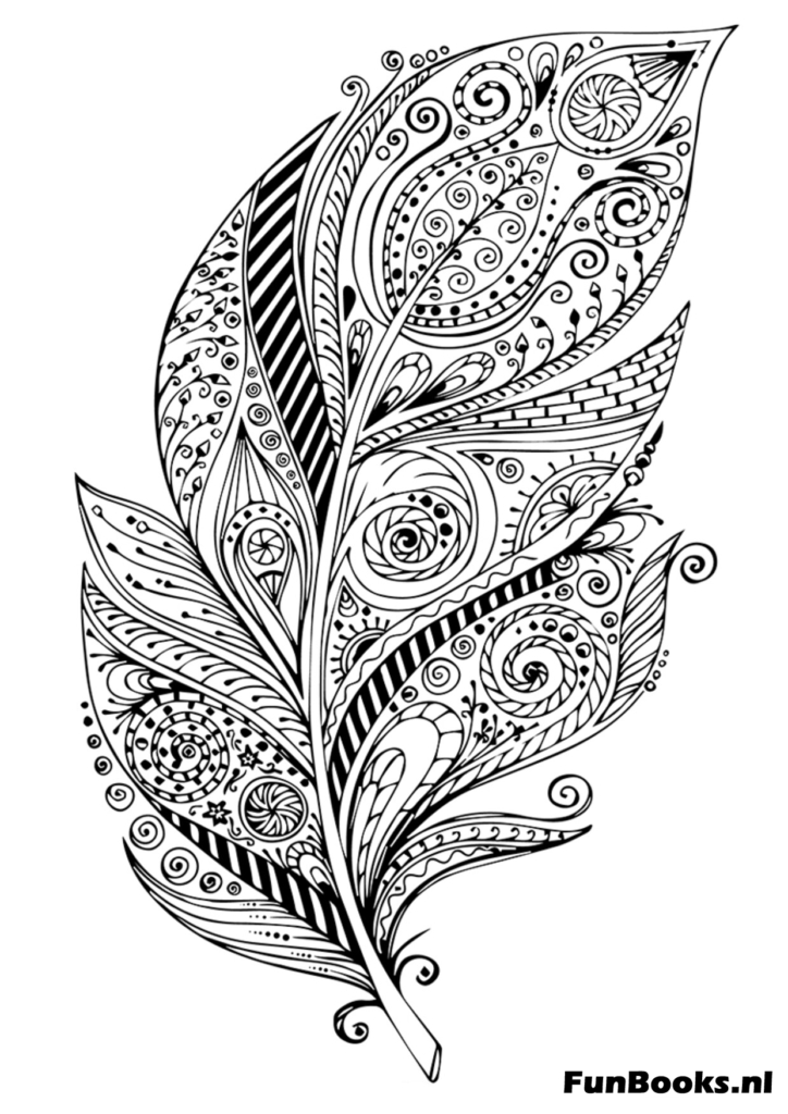 Ingewikkeld veerontwerp gevuld met zentangle patronen mindfulness kleurplaat