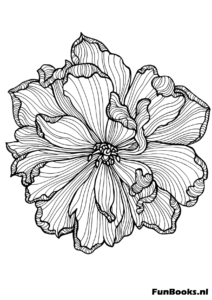 Single large peony flower bloom with detailed leaves botanical coloring page