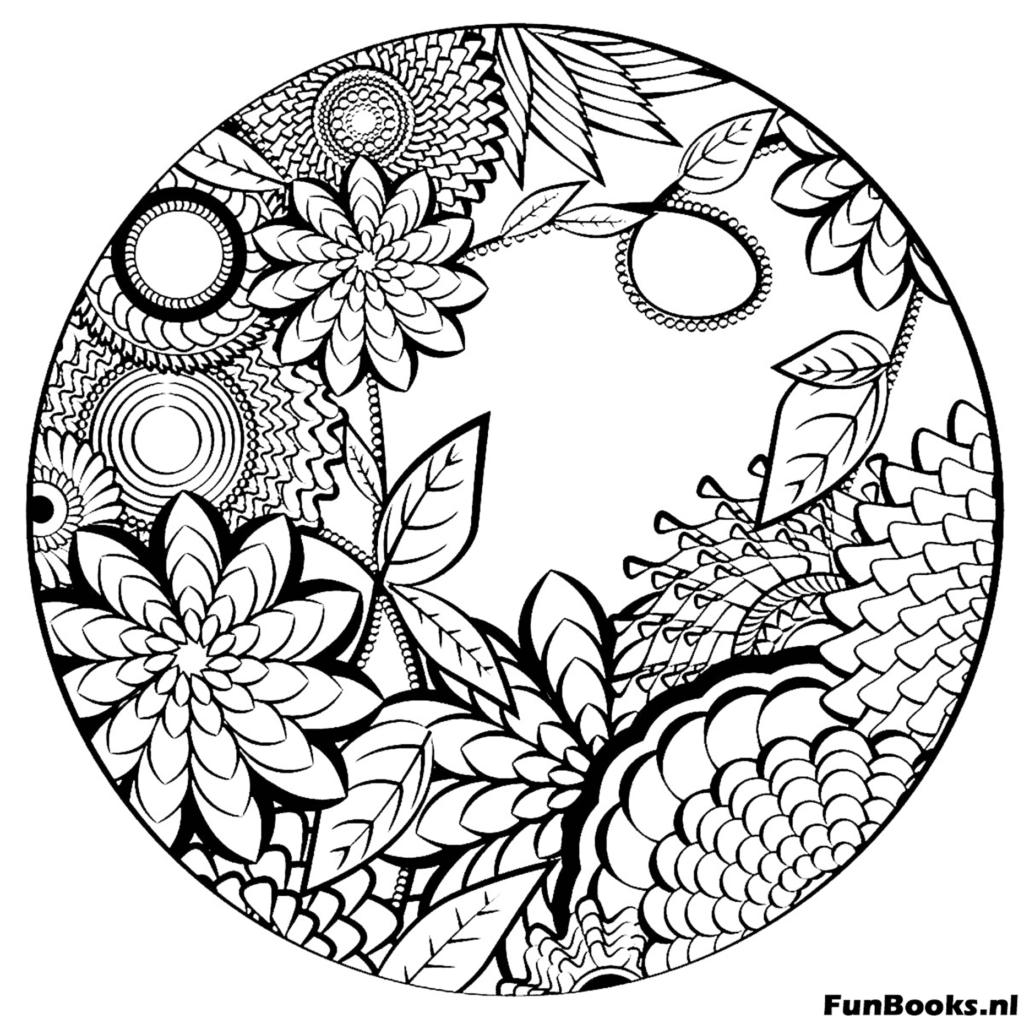 Von der Natur inspiriertes Mandala mit Blättern Blumen und organischen Formen Ausmalbild