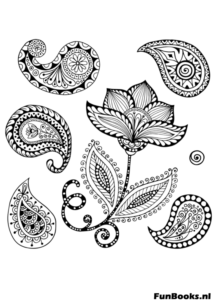 Sammlung traditioneller Paisley-Designelemente zum detaillierten Ausmalen Ausmalbild