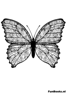 Realistic moth or butterfly coloring page free download