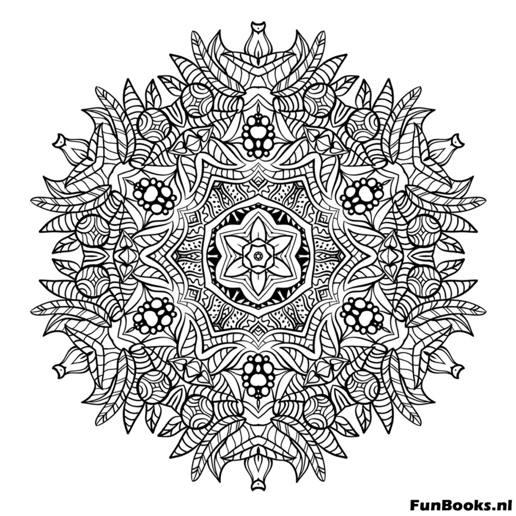 Winterliches Schneeflocken-Mandala mit kristallartigen geometrischen Formen Ausmalbild