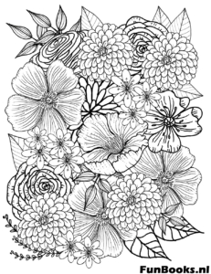 Exotische tropische hibiscus bloemen en bladeren gedetailleerde botanische illustratie kleurplaat