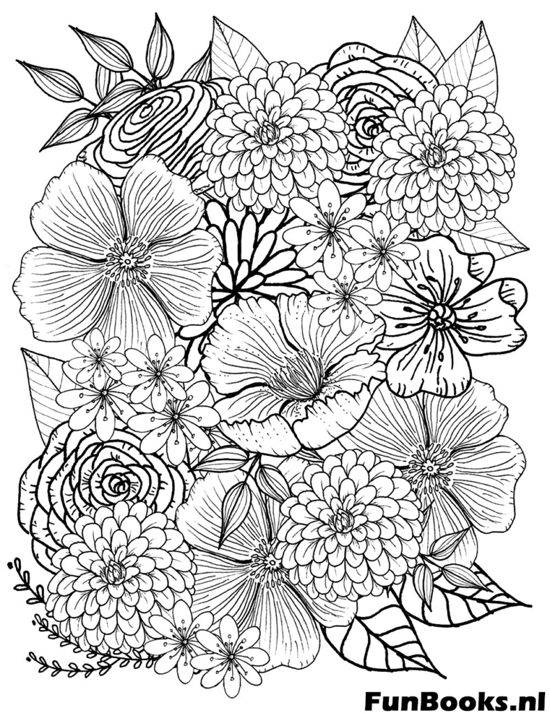 Exotische tropische hibiscus bloemen en bladeren gedetailleerde botanische illustratie kleurplaat