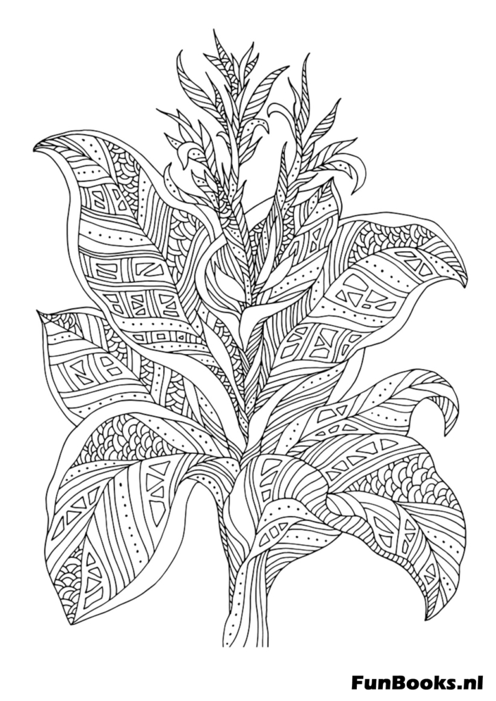 Detaillierte botanische Illustration einer tropischen Pflanze mit großen Blättern Ausmalbild