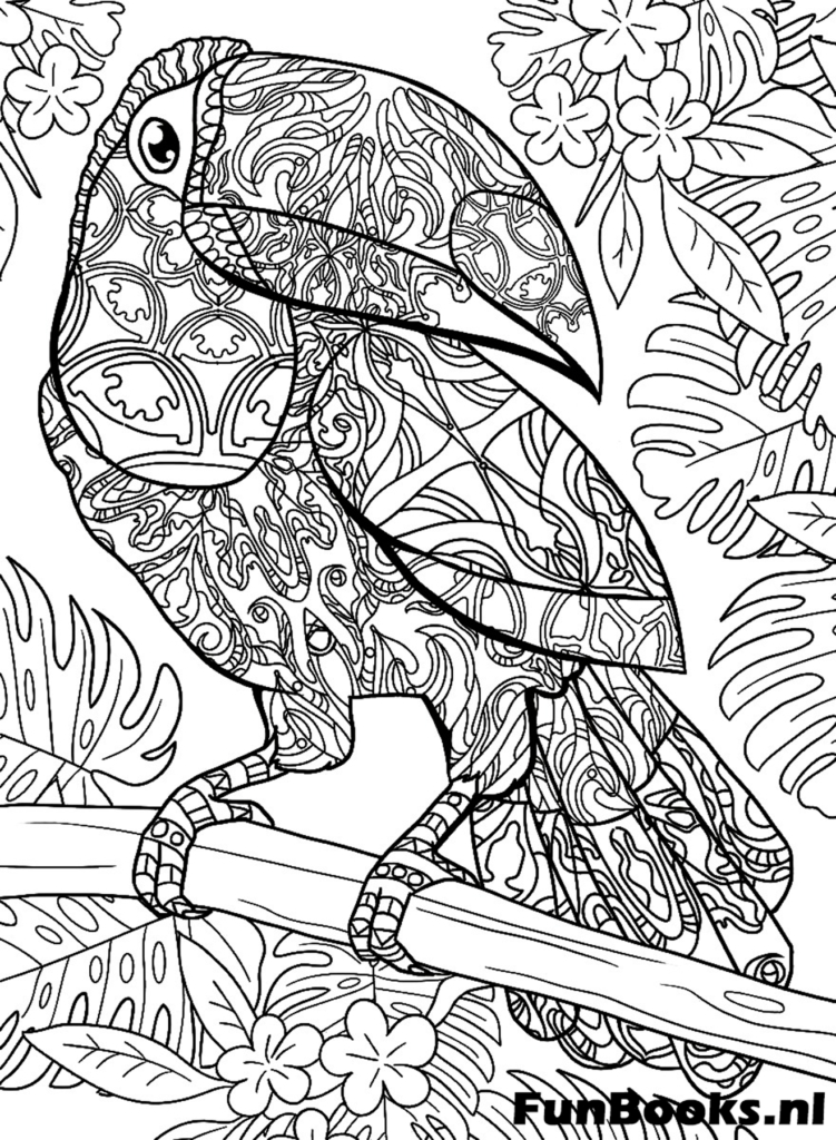 Tukan Vogel sitzt auf einem Ast mit Zentangle-Mustern Ausmalbild