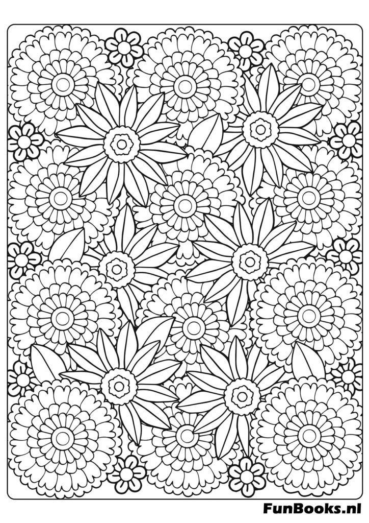 Patroon van zinnia of dahlia bloemen met veel bloemblaadjes voor gedetailleerd kleuren kleurplaat