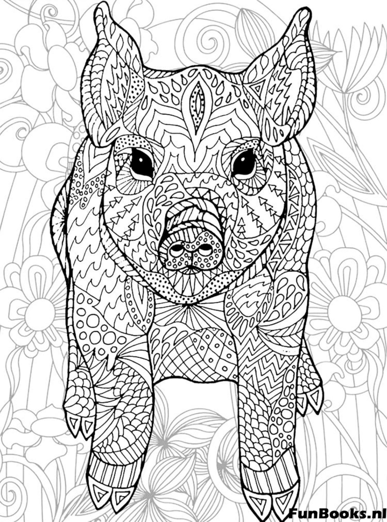 Mignon porcinet cochon avec motifs zentangle coloriage pour adultes