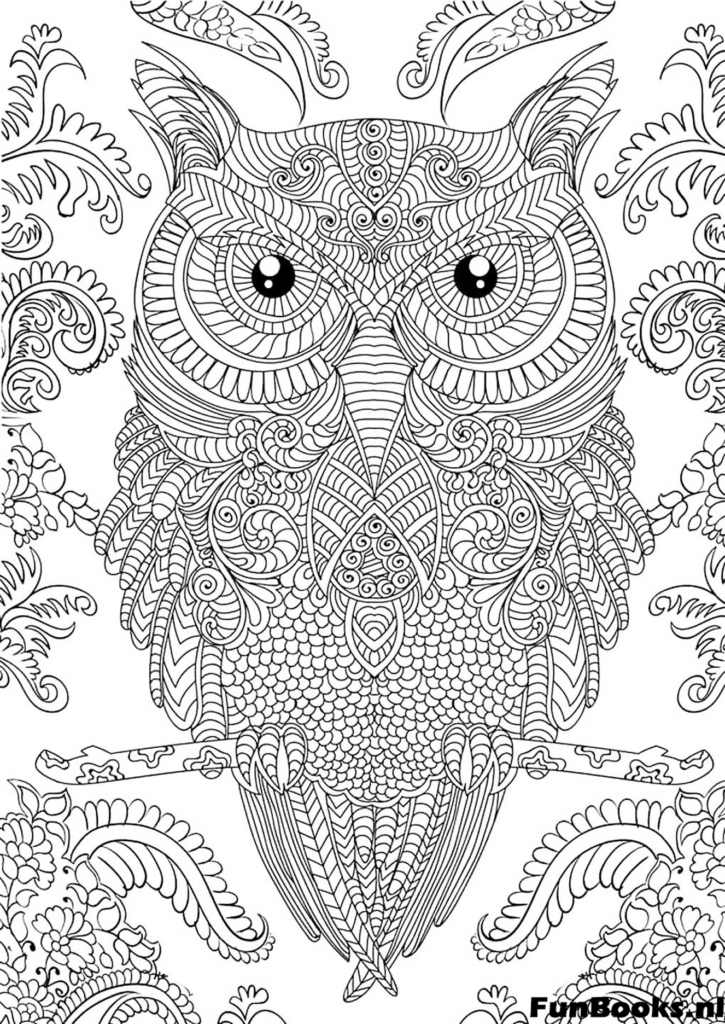 Hibou sage avec grands yeux et plumes détaillées coloriage