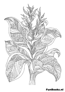 Ilustración botánica detallada de una planta tropical con hojas grandes dibujo para colorear