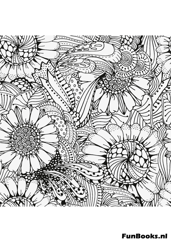 Primer plano detallado de cabezas de girasol y semillas dibujo para colorear botánico