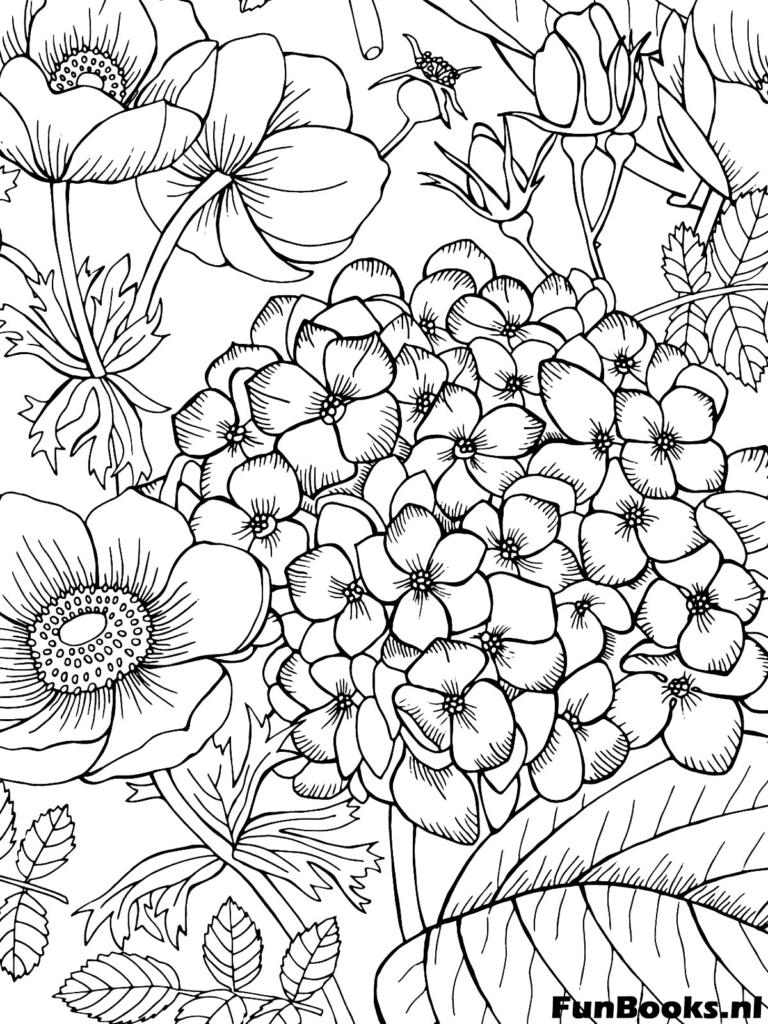 Racimo detallado de flores de hortensia arte botánico para adultos dibujo para colorear