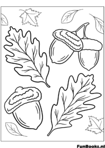 Detailed drawing of acorns and oak leaves close up nature coloring page