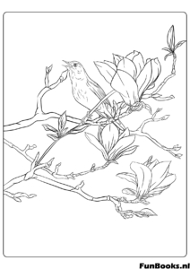 Two birds sitting on a blooming magnolia tree branch realistic spring coloring page
