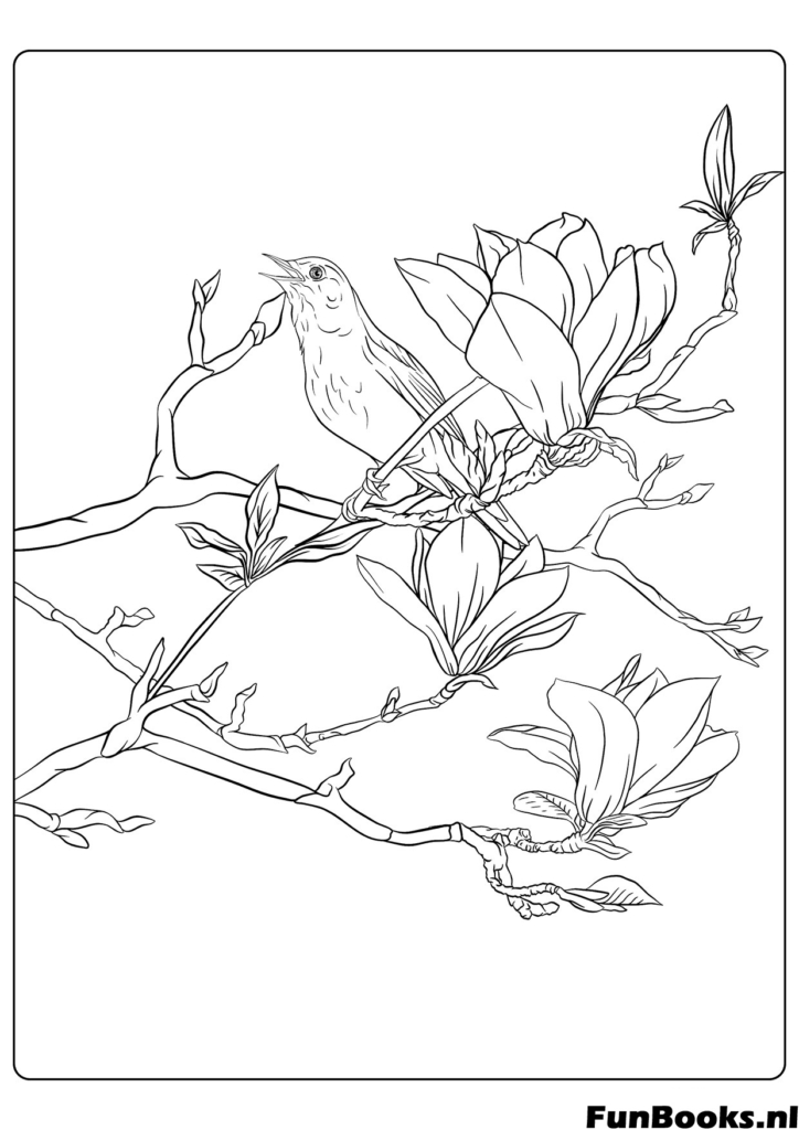 Two birds sitting on a blooming magnolia tree branch realistic spring coloring page