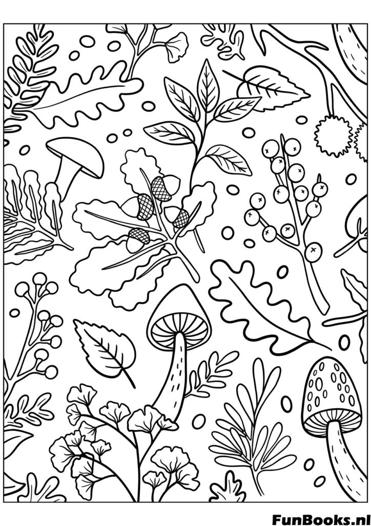 Variété de champignons et plantes sur le sol forestier coloriage botanique