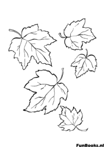 Surtido de diferentes hojas volando en el viento temporada de otoño dibujo para colorear