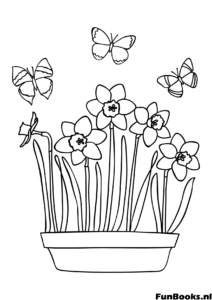 Pot de fleurs de jonquilles épanouies avec papillons volant autour coloriage de printemps