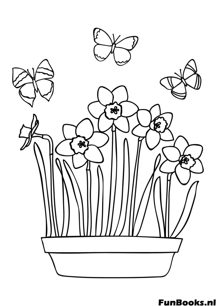 Maceta de flores de narciso floreciendo con mariposas volando alrededor dibujo de primavera para colorear
