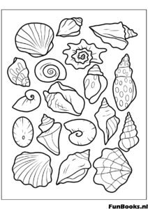 Variety of different seashells and starfish pattern ocean nature coloring page