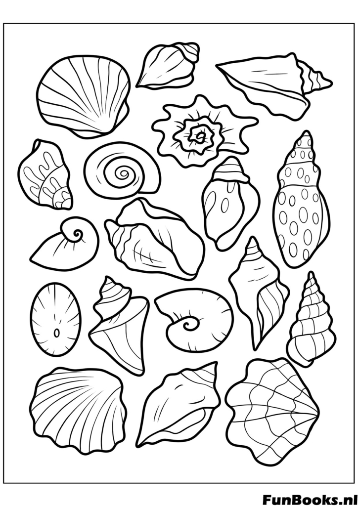 Variety of different seashells and starfish pattern ocean nature coloring page