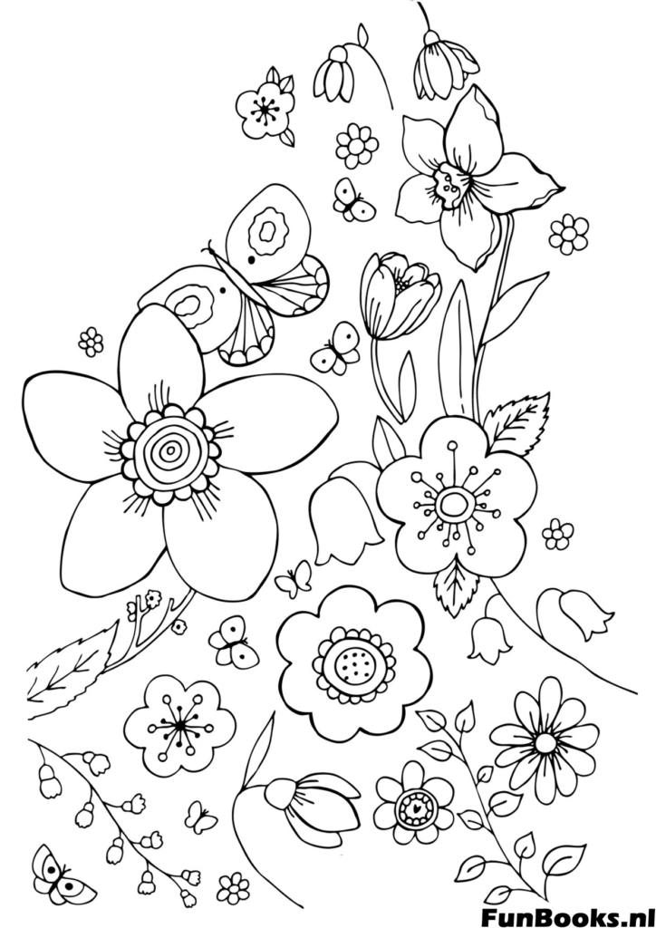 Collection of different spring flowers and plants botanical coloring page